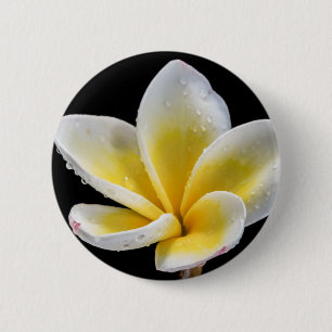 Beautiful white-yellow Plumeria flower 6 Cm Round Badge