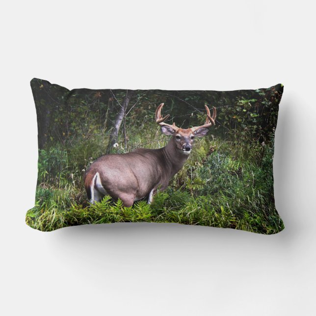 Beautiful Whitetail Buck Lumbar Pillow (Front)
