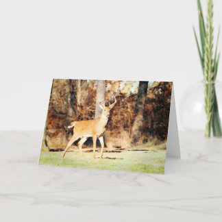 Beautiful Whitetail Deer Buck Watercolor Blank Card