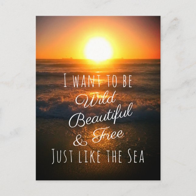 Beautiful Wild and Free Sunset Beach Photo Quote Postcard (Front)
