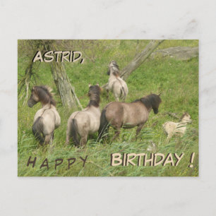 Beautiful Wild Horses Cust. Birthday Postcard