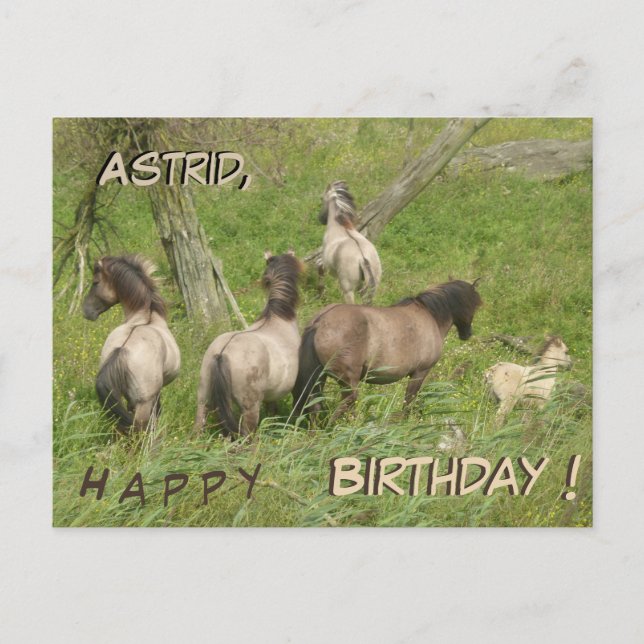 Beautiful Wild Horses Cust. Birthday Postcard (Front)