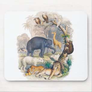 Beautiful Wild Life In Nature Mouse Pad