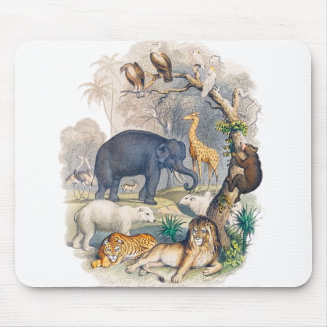 Beautiful Wild Life In Nature Mouse Pad (Front)