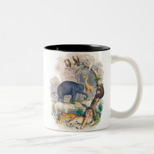 Beautiful Wild Life In Nature Two-Tone Coffee Mug