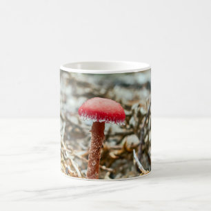 Beautiful wild mushroom in an autumn field coffee mug