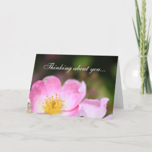 beautiful wild pink rose flowers thinking about yo holiday card