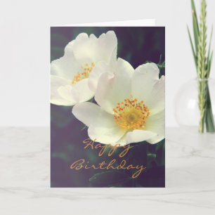 Beautiful Wild Rose Happy Birthday Card