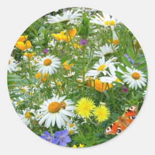 Beautiful Wildflower and Butterfly Meadow Classic Round Sticker