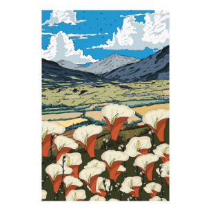Beautiful Wildflower Meadow Landscape Photo Print