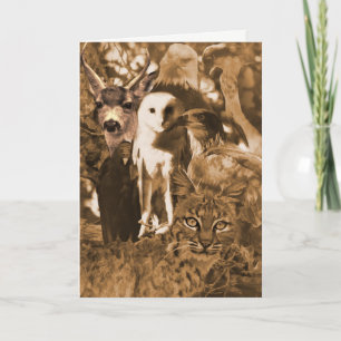 Beautiful Wildlife Animals Blank Card