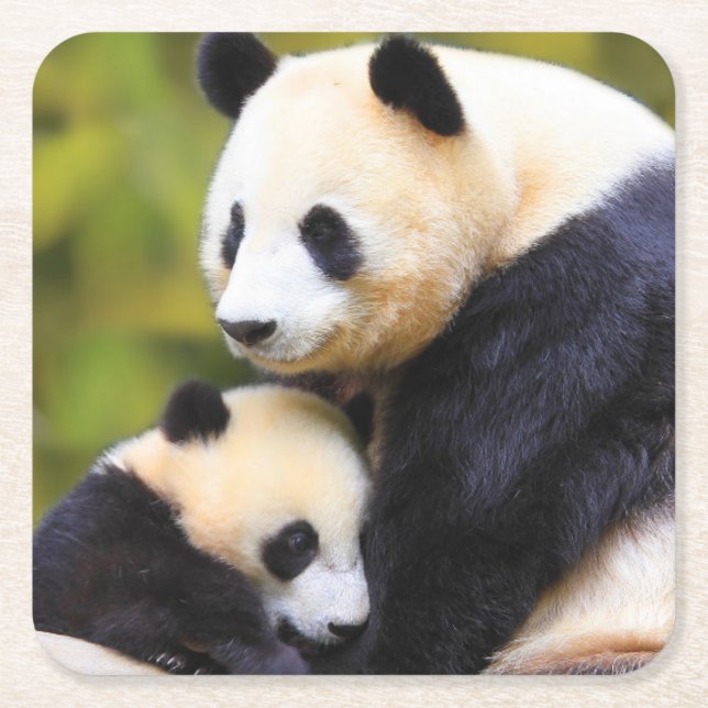 Beautiful Wildlife Coaster Set (Front)
