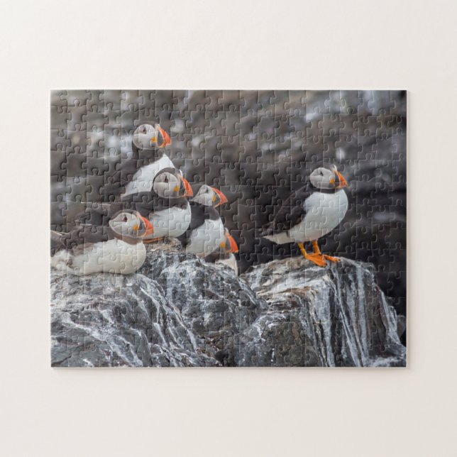 Beautiful Wildlife ocean puffin birds Jigsaw Puzzle (Horizontal)