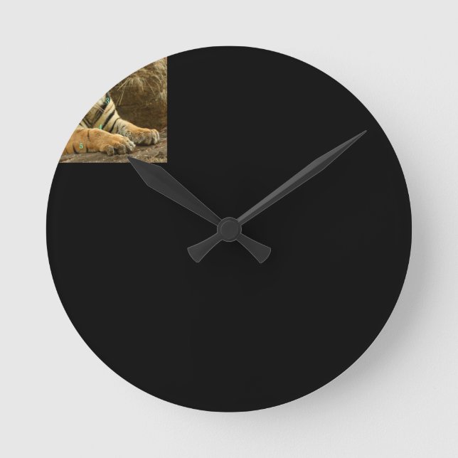 Beautiful Wildlife Wall Clock (Front)
