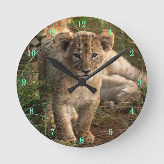 Beautiful Wildlife Wall Clock (Front)