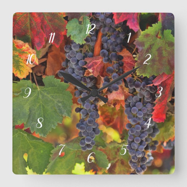 Beautiful Wine Country Clock (Front)