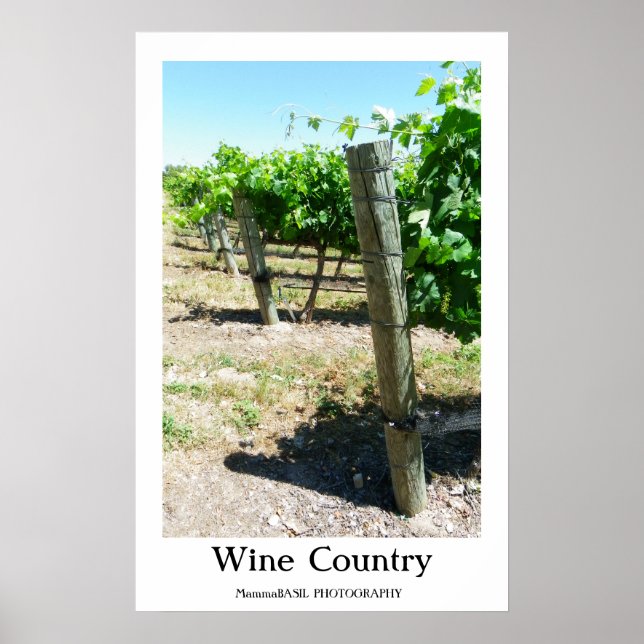 Beautiful Wine Country Poster! Poster (Front)