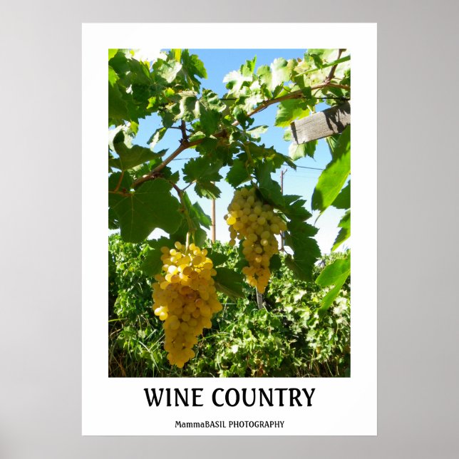 Beautiful Wine Country Poster! Poster (Front)