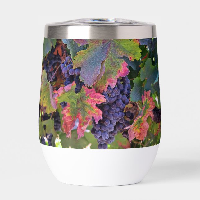 Beautiful Wine Glass with Grapes (Front)