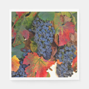 Beautiful Wine Themed Fall Vineyard Napkin