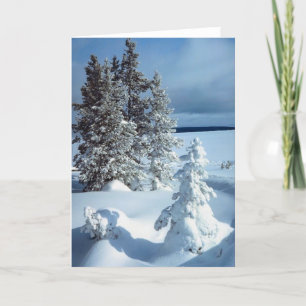 Beautiful Winter Blank Business Holiday Christmas Card