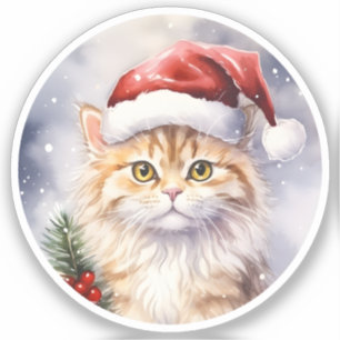 Beautiful Winter Christmas Cat In Santa Hat