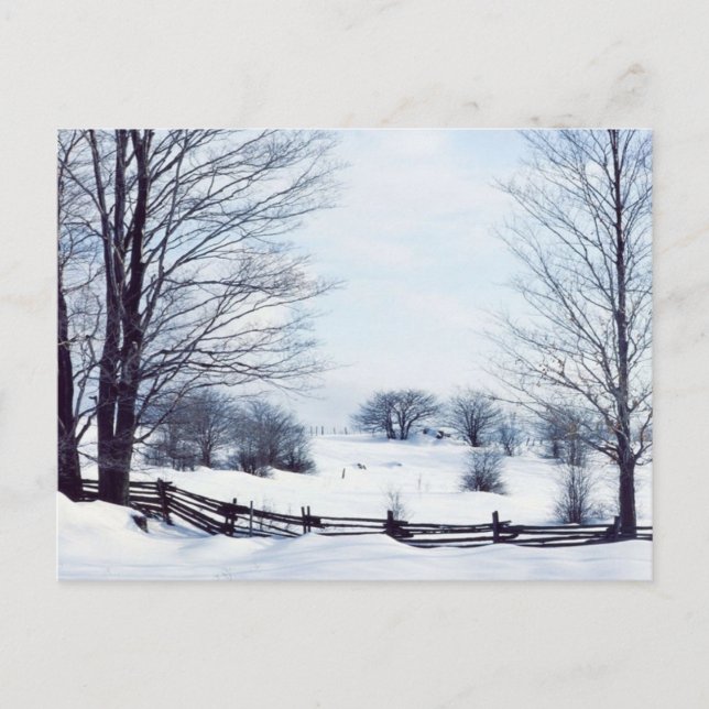 Beautiful Winter Day Postcard (Front)