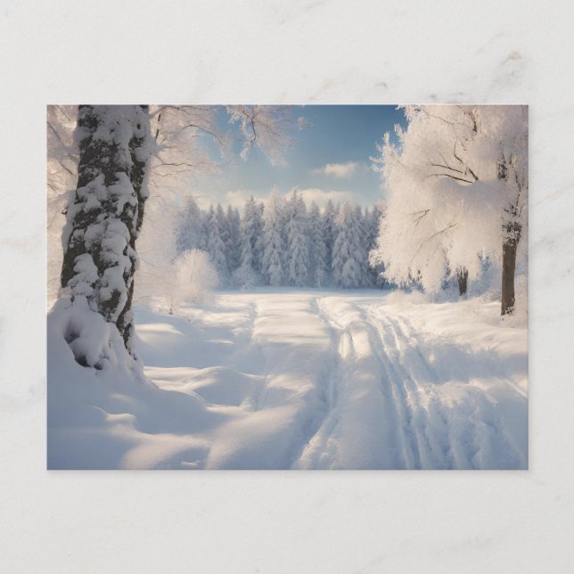 Beautiful Winter Forest Landscape  Postcard (Front)