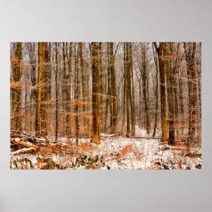 Beautiful Winter Forest with Snow Poster
