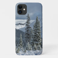 Beautiful Winter Landscape - Mountains Trees Snow