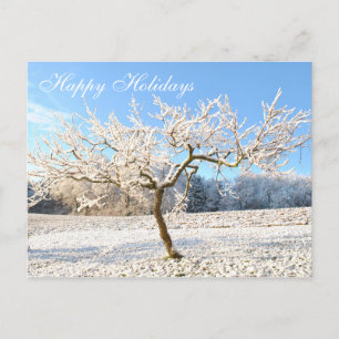 Beautiful Winter Landscape Pretty Snow Tree Postcard