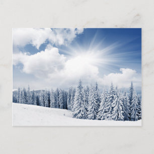 Beautiful Winter Landscape With Snow Postcard