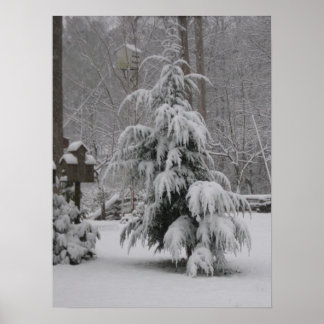 Beautiful Winter Scene Poster