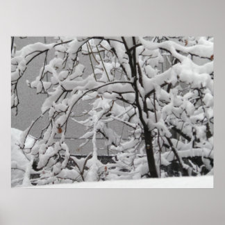 Beautiful Winter Scene Poster