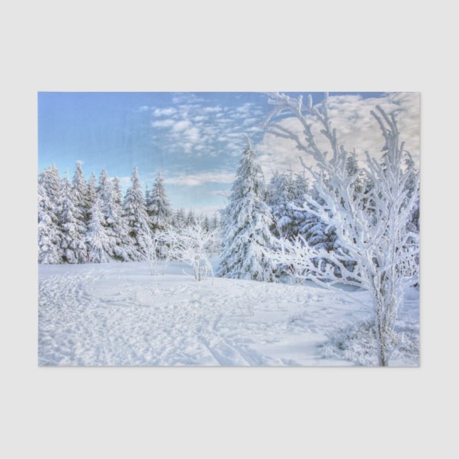 Beautiful Winter Snow Forest Scene   Tissue Paper (Front)