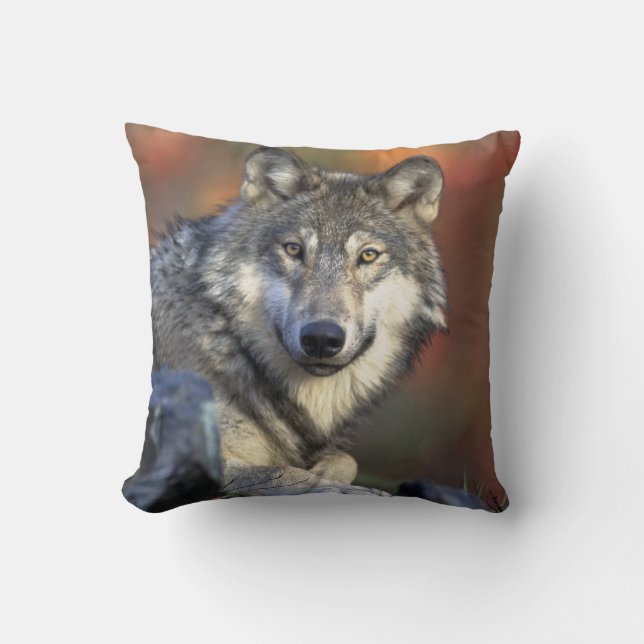 Beautiful Wolf Cushion (Front)