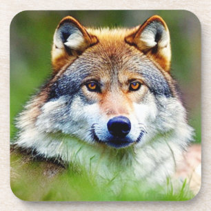 Beautiful Wolf head Painting Coaster