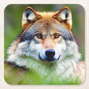 Beautiful Wolf head Painting Square Paper Coaster
