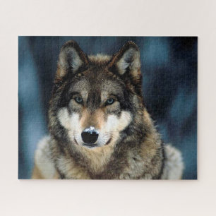 Beautiful Wolf in Winter Time, Jigsaw Puzzle