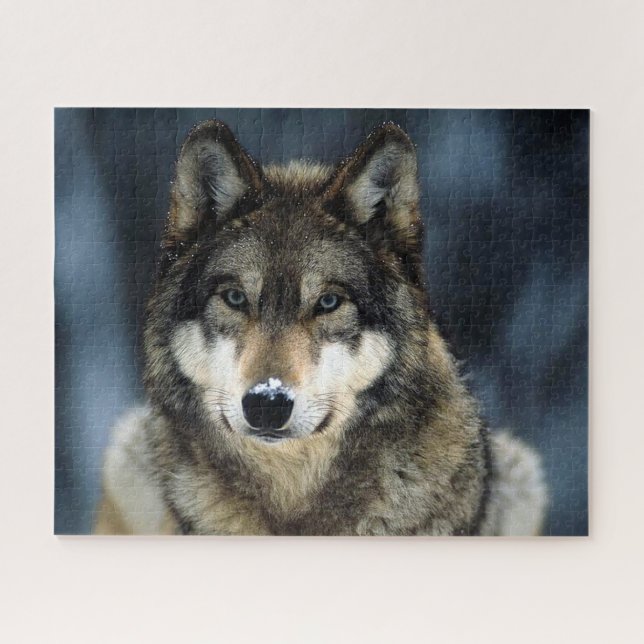 Beautiful Wolf in Winter Time, Jigsaw Puzzle (Horizontal)
