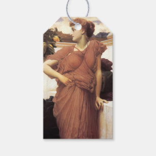 Beautiful Woman at the Fountain Gift Tags