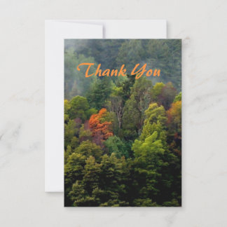 Beautiful Woodland Trees Thank You Card
