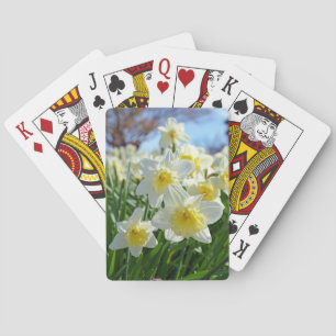 Beautiful yellow and white daffodils garden playing cards