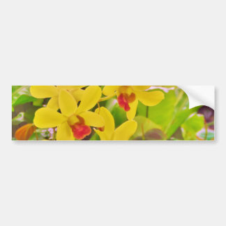 Beautiful Yellow autumn orchids Bumper Sticker