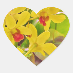 Beautiful Yellow autumn orchids Heart Sticker