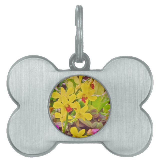 Beautiful Yellow autumn orchids Pet Tag (Front)