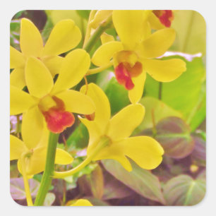 Beautiful Yellow autumn orchids Square Sticker