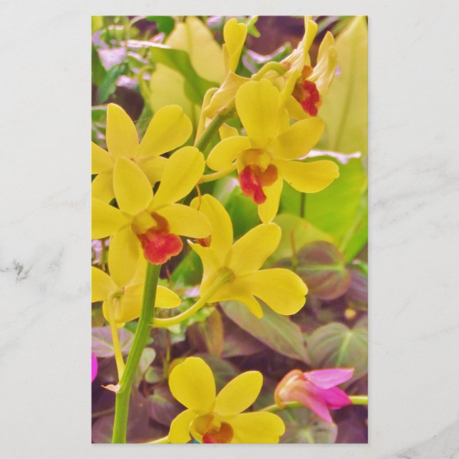 Beautiful Yellow autumn orchids Stationery (Front)