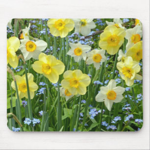 Beautiful yellow daffodil garden mouse pad