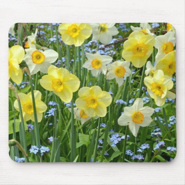 Beautiful yellow daffodil garden mouse pad (Front)